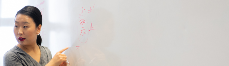 תוכנית כניסת קורסי השפה