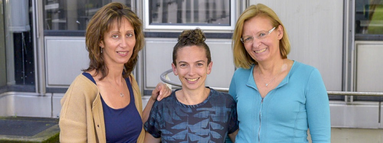 שיתוף פעולה האוניברסיטה החופשית של ברלין